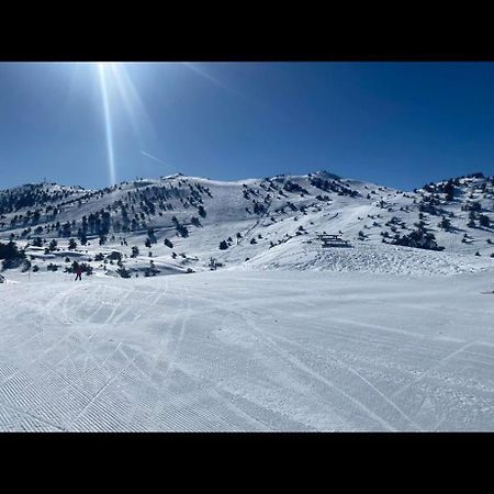 U061 - Grand Studio Renove - Vue Montagne Greolieres Kültér fotó